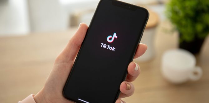 Promotion on TikTok: how a business can advertise its products and services to young people